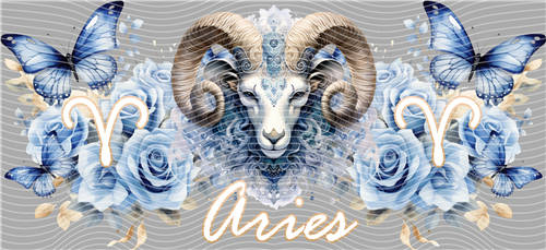 16oz Latest Bestseller-C 4251